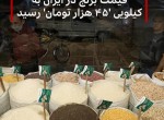 قیمت برنج ایرانی به ۴۵ هزار تومان رسیده است