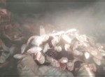 کشف بیش از ۸۰۰۰ کوسه در سردخانه چابهار