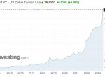 تداوم سقوط بیشتر لیر ترکیه